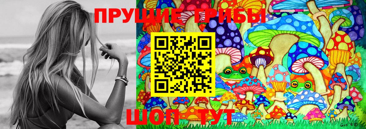 Псилоцибиновые грибы Cubensis Грозный